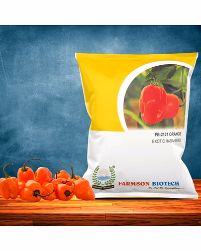 FB-2122 ORANGE HABANERO CHILLI SEEDS (VERY HOT)-12527268