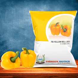 farmson biotech private limited fb-yellow bell (2033) f1 hybrid sweet pepper seeds