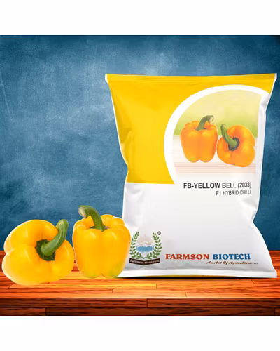 FB-YELLOW BELL (2033) F1 HYBRID SWEET PEPPER SEEDS-12527728