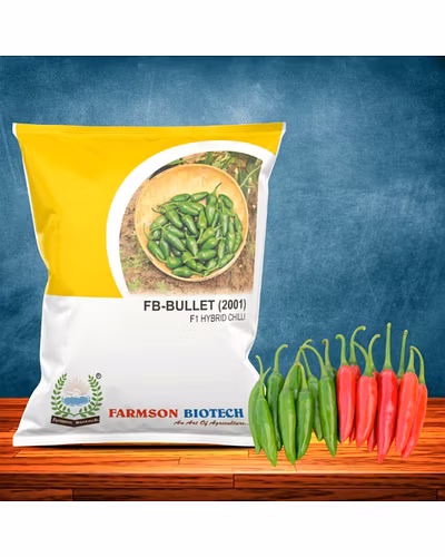 FB-BULLET (2001) F1 HYBRID CHILLI SEEDS-12527736