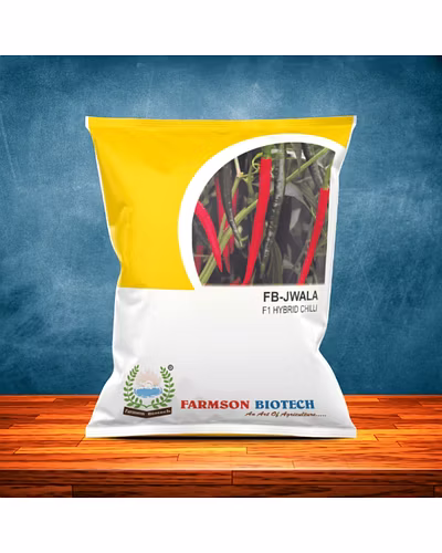 FB-JWALA F1 Hybrid Chili Seeds (Duel purpose)-12527246