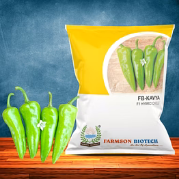 farmson biotech private limited fb-kavya f1 hybrid chilli seeds
