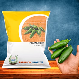 farmson biotech private limited fb-jalapeno f1 hybrid chilli seeds
