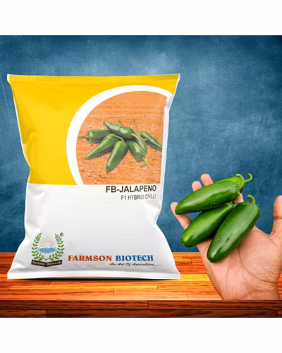 FB-JALAPENO F1 HYBRID CHILLI SEEDS-12527258