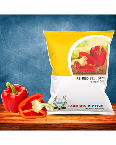 FB-RED BELL (2022) F1 HYBRID SWEET PEPPER SEEDS-12527508