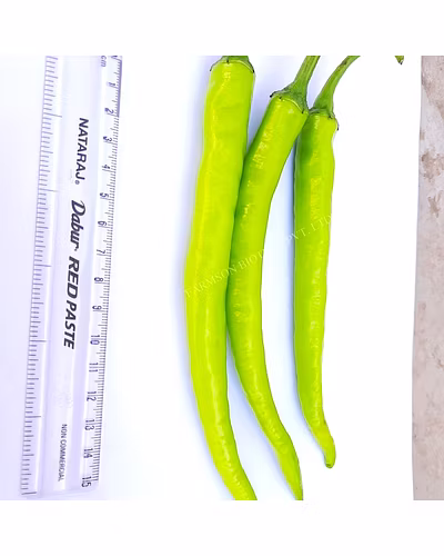 FB-ARK F1 HYBRID CHILLI SEEDS-1