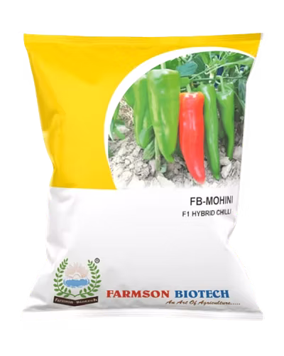 FB-MOHINI F1.HY. CHILI SEEDS-12528416