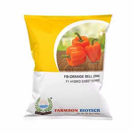 farmson biotech private limited fb-orange bell (2044) f1 hybrid sweet pepper seeds
