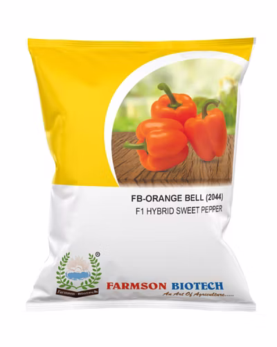 FB-ORANGE BELL (2044) F1 HYBRID SWEET PEPPER SEEDS-12528426