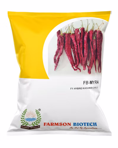 FB-MYRA (KASHMIRI CHILI) F1 HY. CHILI SEEDS-12528404