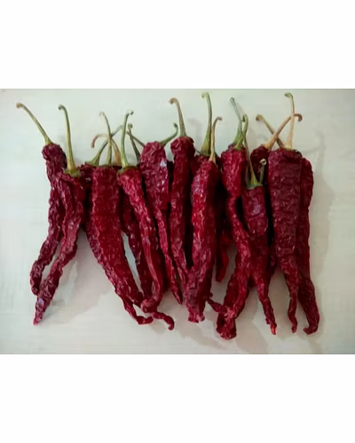 FB-MYRA (KASHMIRI CHILI) F1 HY. CHILI SEEDS-1