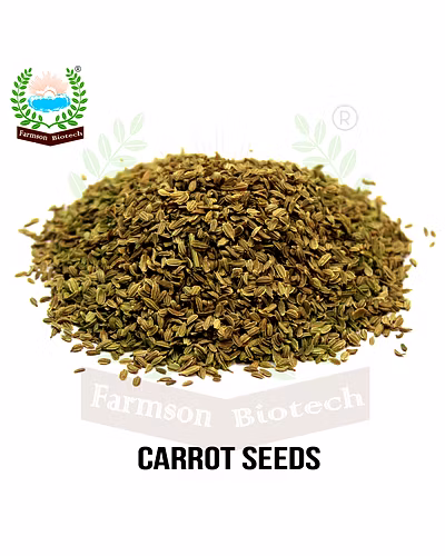 FB-NANTES CARROT SEEDS-3