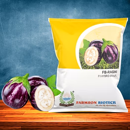 farmson biotech private limited fb-ragini f1 hybrid brinjal (egg plant) seeds
