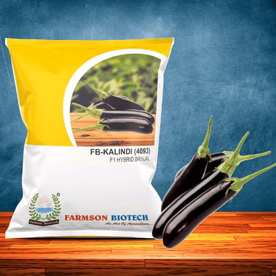 farmson biotech private limited fb-kalindi (4093) f1 hybrid brinjal seeds