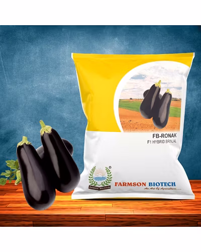 FB-RONAK F1 HYBRID BRINJAL-12528468