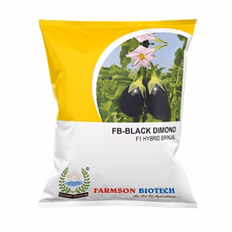 farmson biotech private limited fb- black dimond f1 hybrid brinjal (eggplant) seeds