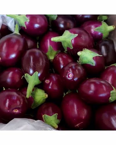 FB- Black Dimond F1 Hybrid Brinjal (eggplant) Seeds-1