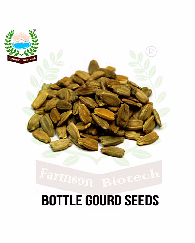 FB- Bhim F1 Hybrid Bottle Gourd Seeds-2
