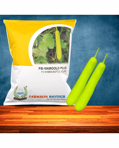 FB-VAMGOLD PLUS F1 HYBRID BOTTLE GOURD SEEDS-12618202