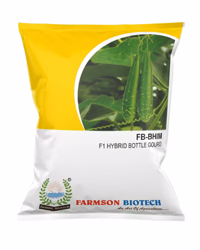 FB- Bhim F1 Hybrid Bottle Gourd Seeds-12618204