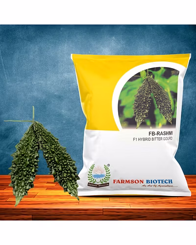 FB-RASHMI F1 HYBRID BITTER GOURD SEEDS-12618218