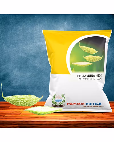FB-JAMUNA (6525) F1 HYBRID WHITE BITTER GOURD SEEDS (SHORT)-12620324