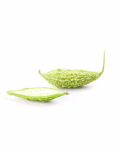 FB-JAMUNA (6525) F1 HYBRID WHITE BITTER GOURD SEEDS (SHORT)-2
