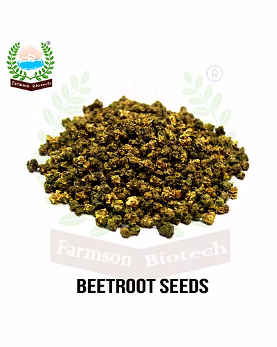 FB-RED BALL Beetroot Seeds-3