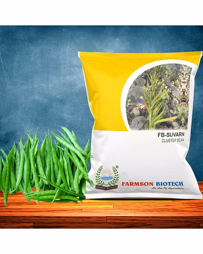 FB-SUVARN CLUSTERBEAN SEEDS-12620330