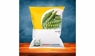 FB-GRIVA Peas Seeds
