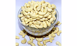 Cashew Nut