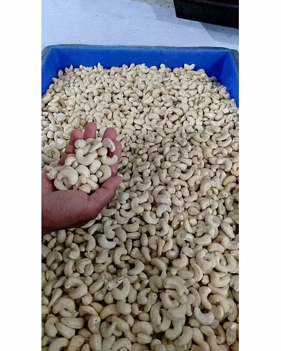 Cashew Nut-3