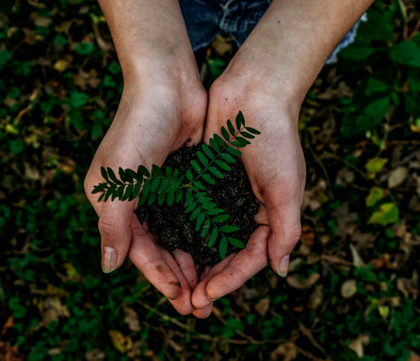 Sustainable Green Industry India