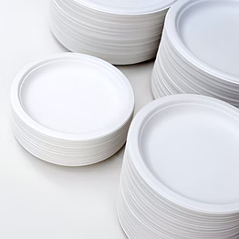 12" round plate bagasse tableware