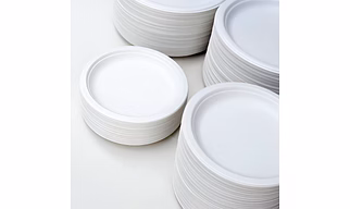 12" ROUND PLATE BAGASSE TABLEWARE