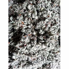 in cotton seed hull