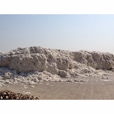 indian organic raw cotton