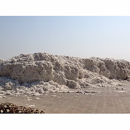 indian raw cotton j34