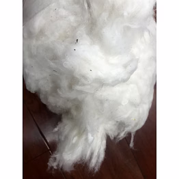 indian raw cotton mcu5