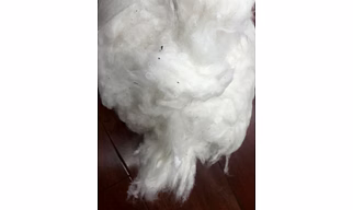 Indian Raw Cotton MCU5