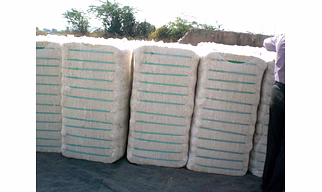 Indian Cotton Waste-Cotton Lickerin