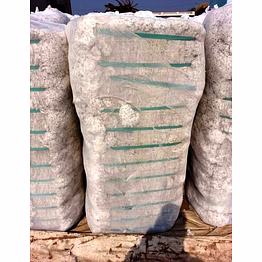 bhadrakaali fibre private limited indian origin of cotton dropping