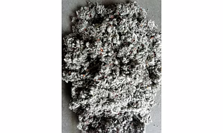 Indian Cotton Seed Hull