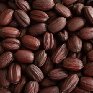 Jojoba Seeds