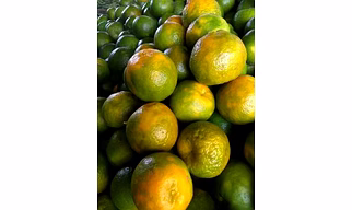 Oranges
