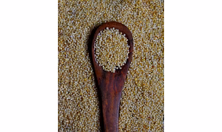 Foxtail Millets