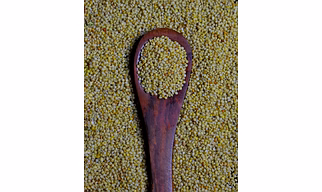 Browntop Millets
