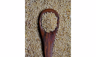 Banyard Millets