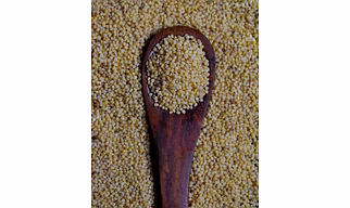 Little Millets