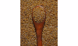 Kodo Millets